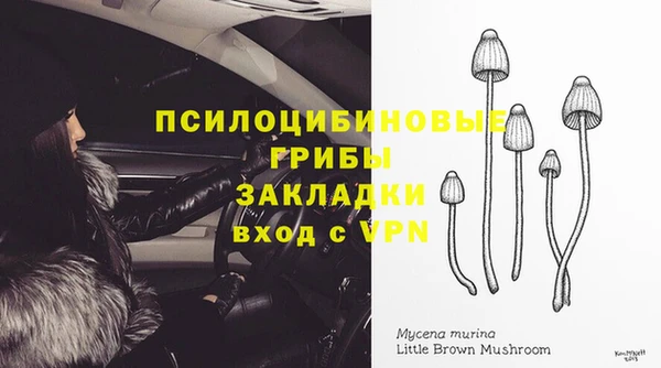 скорость Алзамай