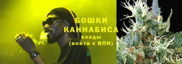 индика Михайловка