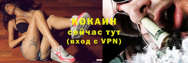 индика Михайловка