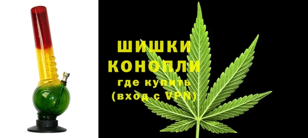 индика Михайловка