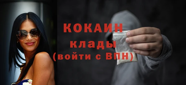 индика Михайловка