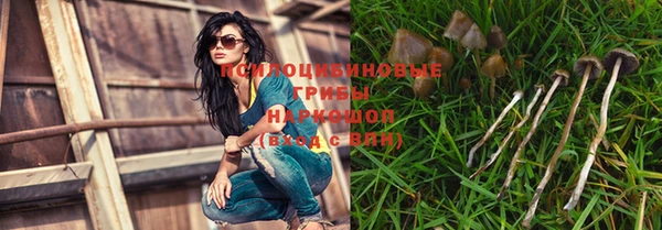 кокс Михайлов