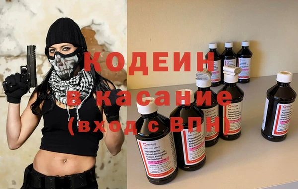 индика Михайловка