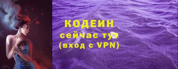 индика Михайловка