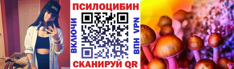Псилоцибиновые грибы Cubensis  kraken как зайти  Дюртюли 