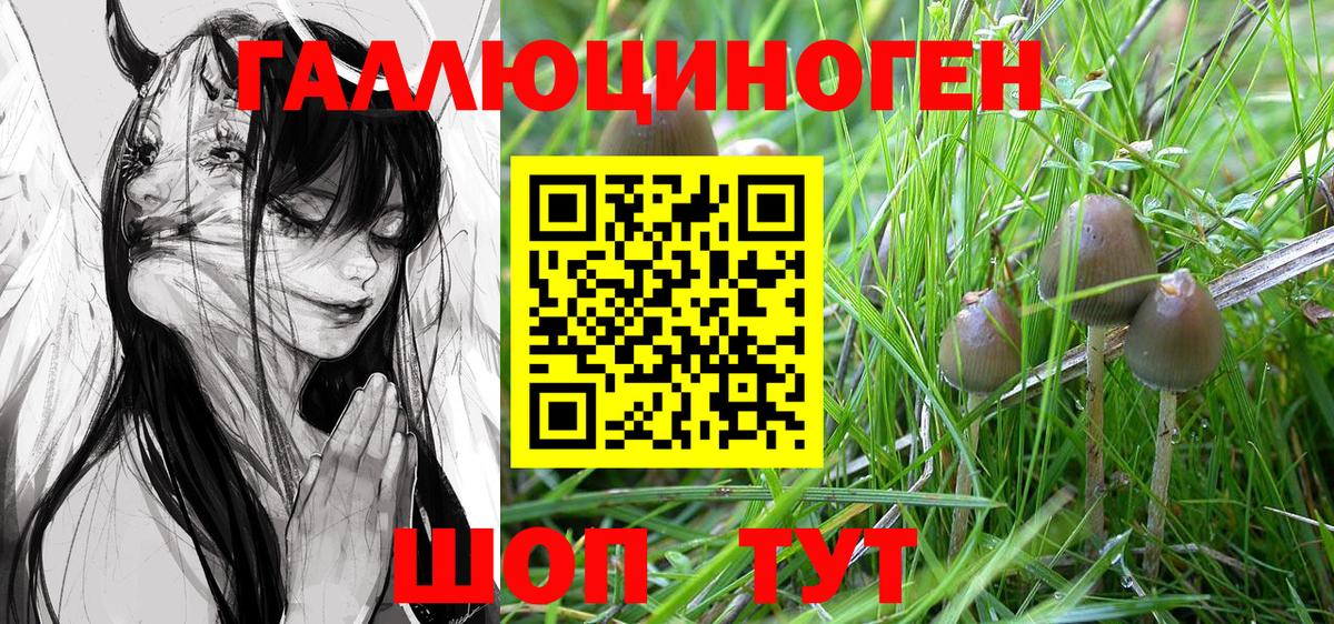 Галлюциногенные грибы Magic Shrooms Дюртюли
