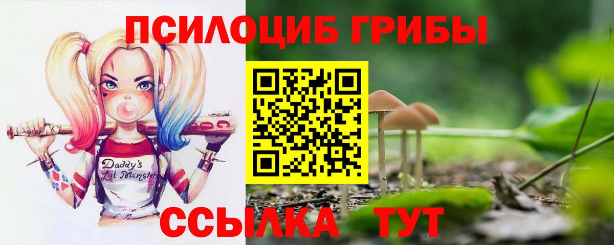 Дюртюли  хочу наркоту  Вход с VPN  Псилоцибиновые грибы Psilocybine cubensis  Галлюциногенные грибы мухоморы 