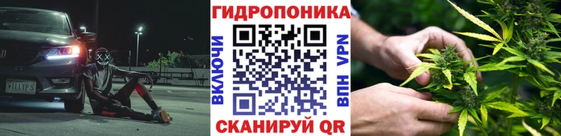 Конопля гибрид  Дюртюли 